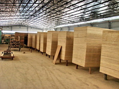 文明风 - 福建永安供电公司助洪田村致富小记 电力赋能木材加工产业振兴