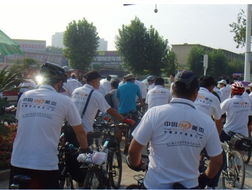 搭建心灵桥梁 组织文化艺术活动与交流的价值与实践